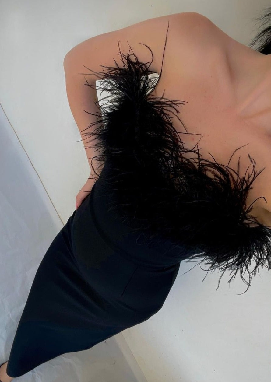 Joanna – Feather-Elegant Maxi Dress